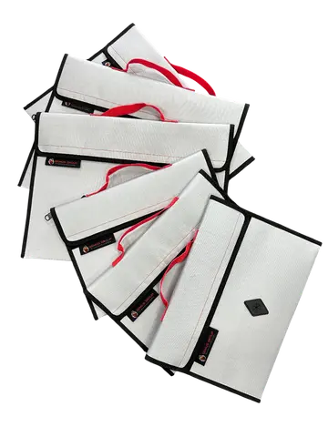 BSM-1 (1).png